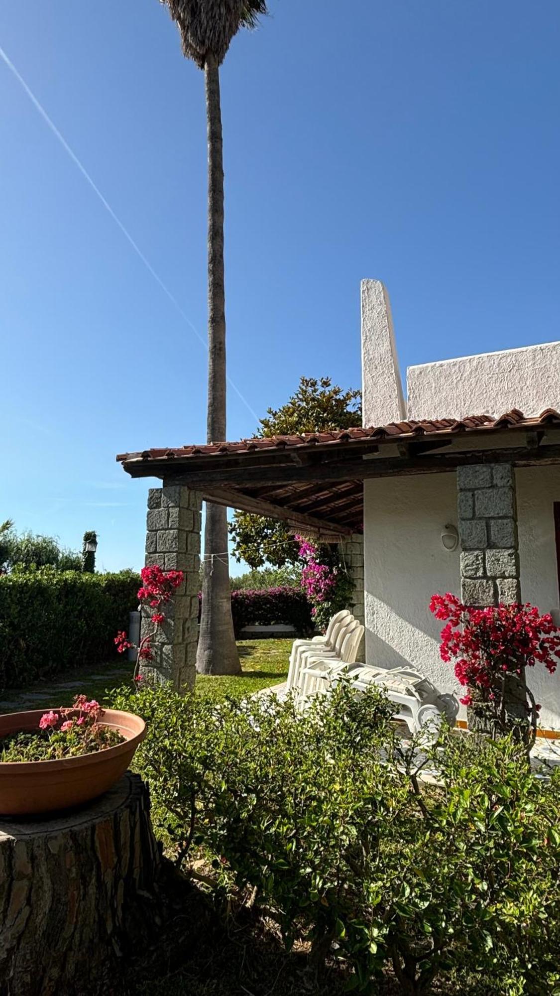 Villa Moma Giardino, Tennis E Piscina Panoramica Ischia Exterior photo