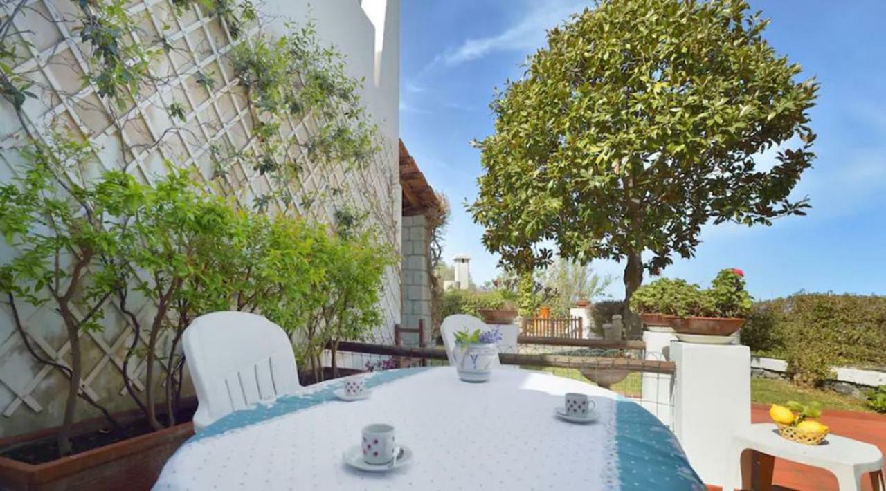 Villa Moma Giardino, Tennis E Piscina Panoramica Ischia Exterior photo