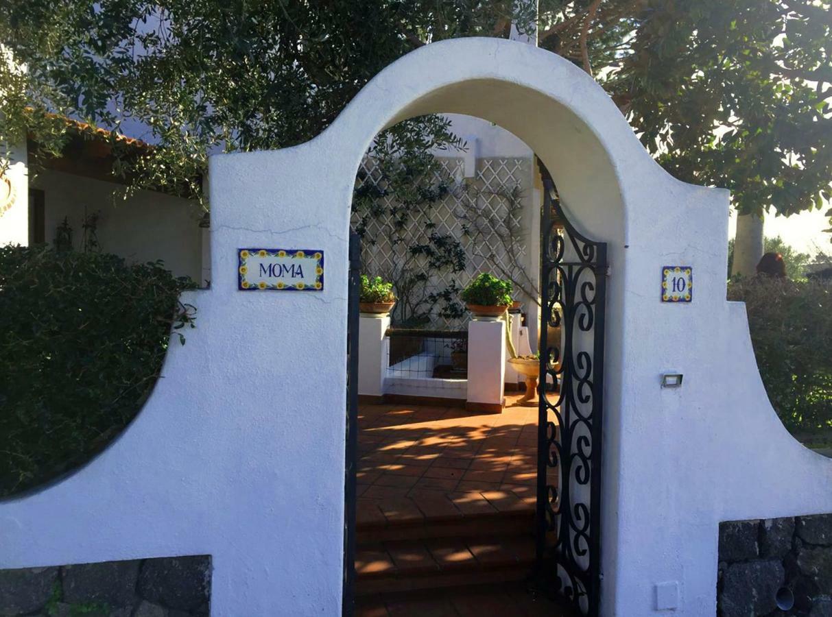 Villa Moma Giardino, Tennis E Piscina Panoramica Ischia Exterior photo